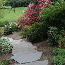 Landscape Ideas