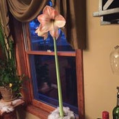 Denise Sundly's photo