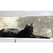 Kathryn Snell's photo