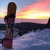 Mark Damiano's photo
