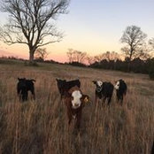 Chad Smotherman's photo
