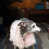 Angela Gravlin's photo