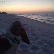 Caroline Stanford's photo