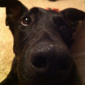 Stefan Szalkowski's photo