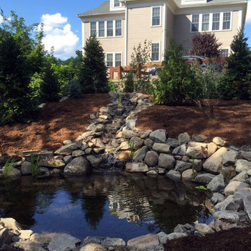 BACKYARD POND AND STREAM