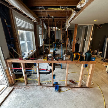 Federal Way Basement Remodel