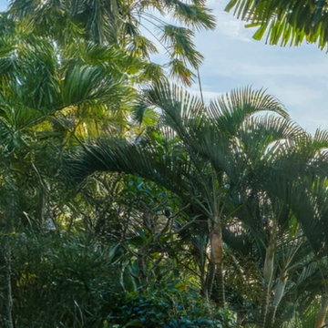 Honeymoon Experience at Amora Ubud Villas