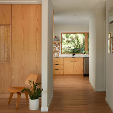 MCM Kitchen Remodel