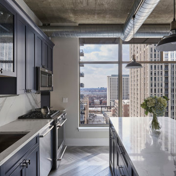 Loft Kitchen Remodeling In Near South Side (Chicago, IL)