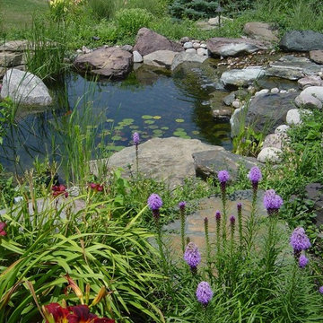 Natural Style Pond