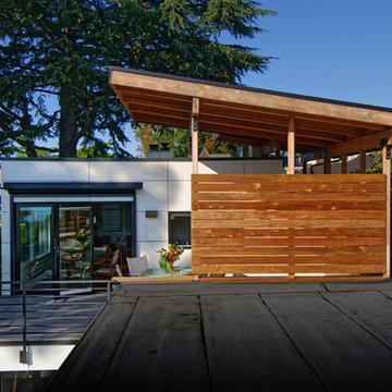Queen Anne Tree House
