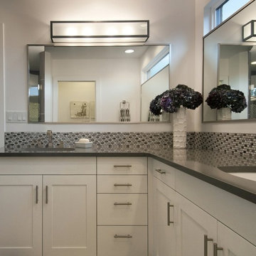Contemporary Master Vanity