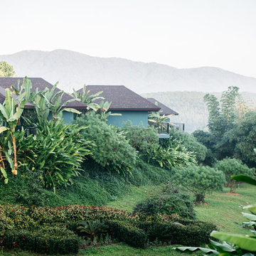 LANDSCAPES