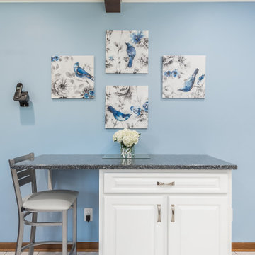 Transitional Kitchen Remodel in a Snow White Classic Square raised Door