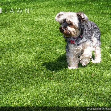 Pet-Friendly Artificial Grass
