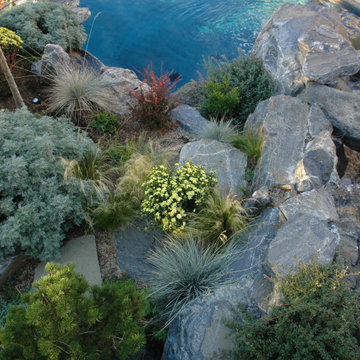 Grand Swimming Pool Design and Backyard Elegence