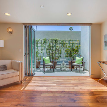 Venice Beach modern house