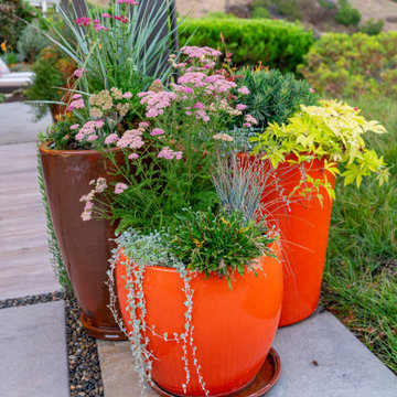 Pacific Palisades Hillside Serenity