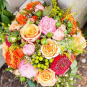 Melissa Spaid's photo