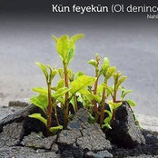 Foto von dilekkancan