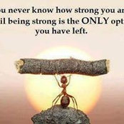 Foto de Lisa Vaught
