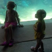 Rebecca Otto Laughlin's photo