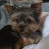 Melissa Stern's photo