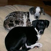 Andrea Collins's photo