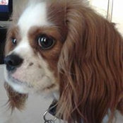 Tanya Beaver's photo