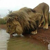 Foto von Simbarashe Nyoni