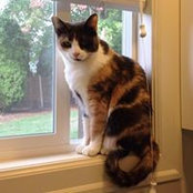 Nancy Lipnickey's photo
