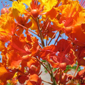 Jean Harris's photo