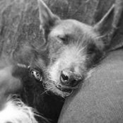 Deb Durrant's photo
