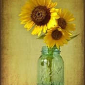 Sherri Beecher's photo