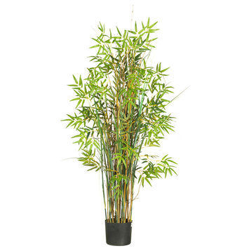 5' Bamboo Grass Silk Plant