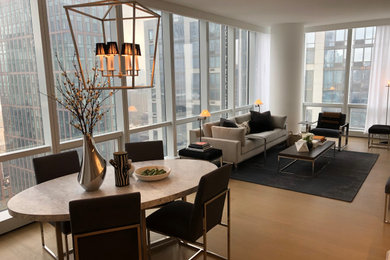Living room - contemporary living room idea in New York