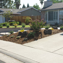 Front Lawn