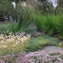 Landscape Ideas
