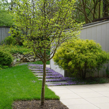 Mid-Century Modern Home Rear Garden