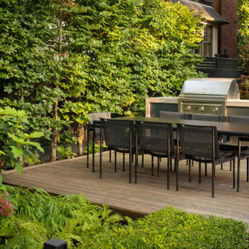Contemporary Garden