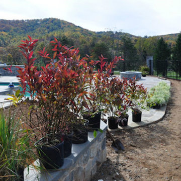 Landscape Pool & Terrace