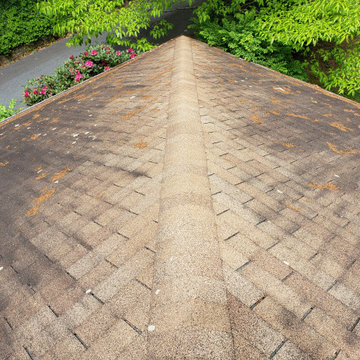 GAF Timberline HDZ Appalachian Sky