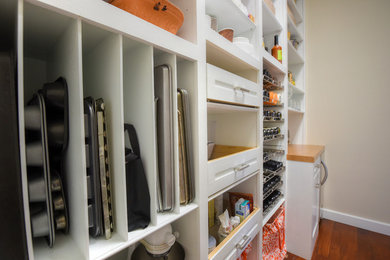 Example of a mid-sized classic galley dark wood floor kitchen pantry design in Jacksonville with white cabinets, wood countertops and stainless steel appliances