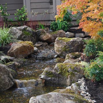 Water Feature