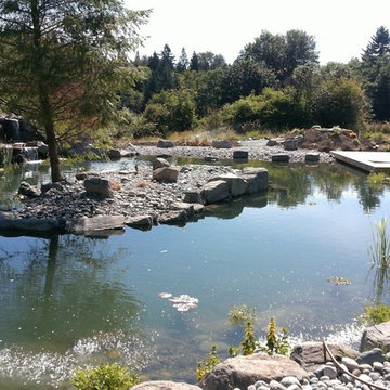 Swim Pond