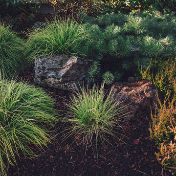 Boulders + Perrenials