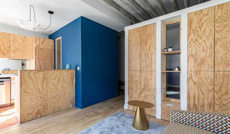 Avant/Après : Le contreplaqué de pin signe ce studio de 32 m2