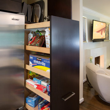 Silver Spring Modern Kitchen Design Remodel