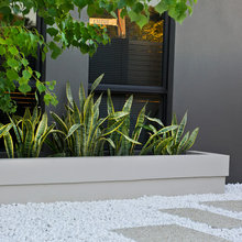 Ridge St Ideas