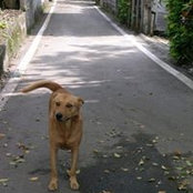 Foto de 王振宇
